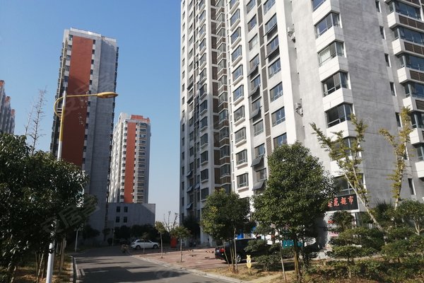 鄒城金山新苑最新消息大全，一站式指南